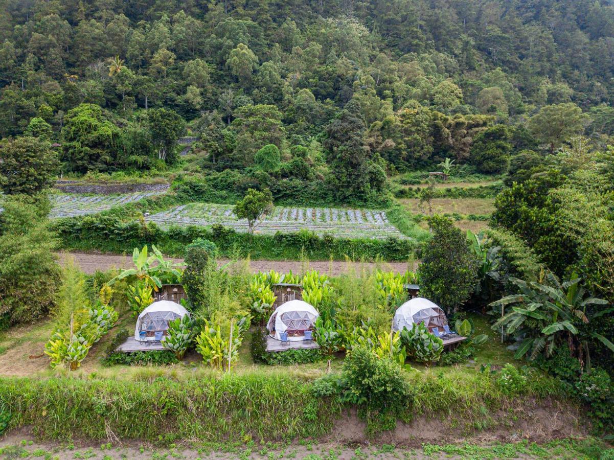 Готель Cloud Hills Glamping Kintamani  Екстер'єр фото