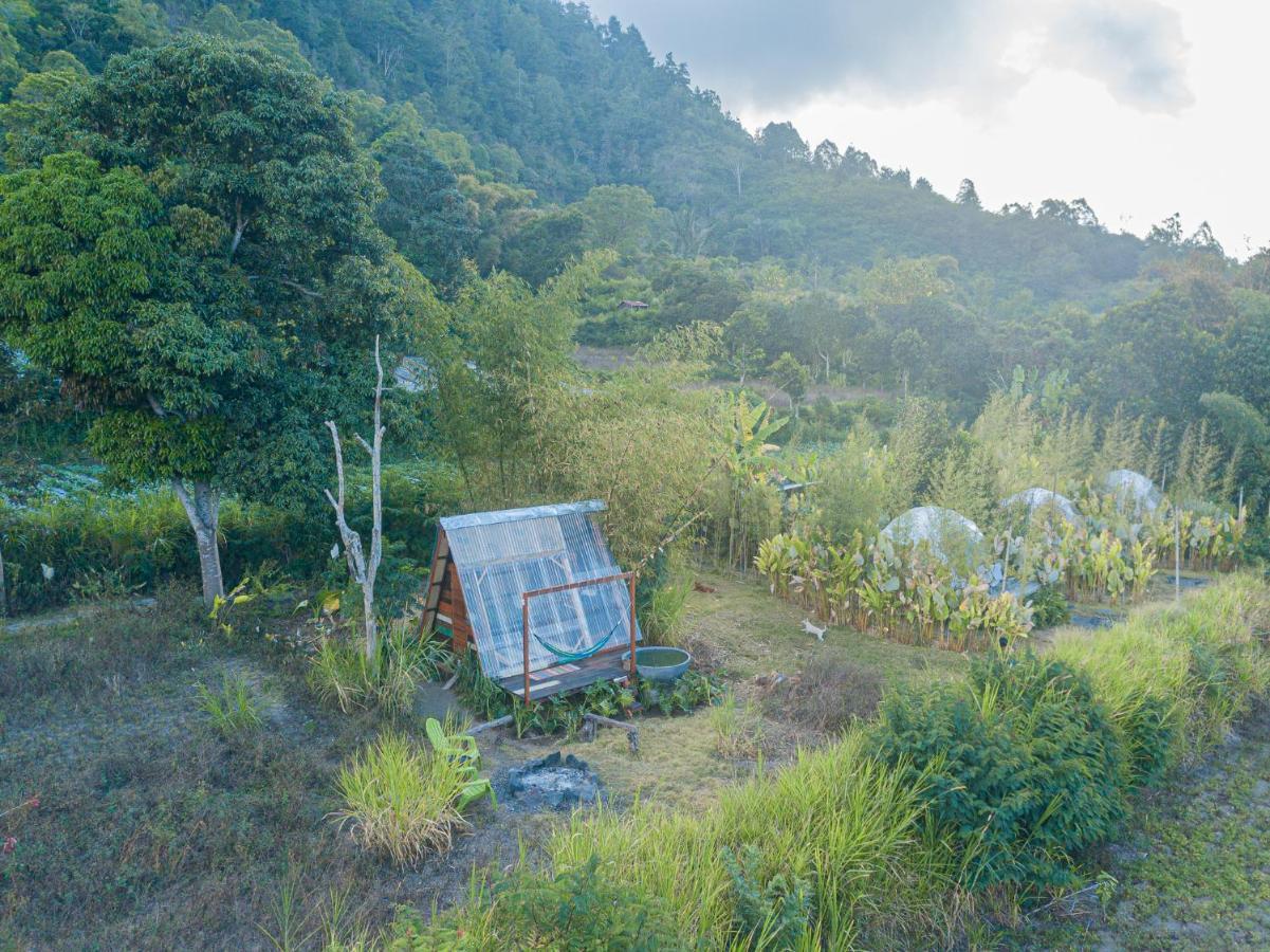 Готель Cloud Hills Glamping Kintamani  Екстер'єр фото